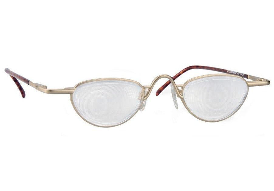 Oval spectacles with gold front and tortoiseshell temples