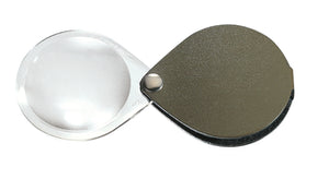 Circular magnifier inside clear oval setting, with attached fold-out pine-greencase